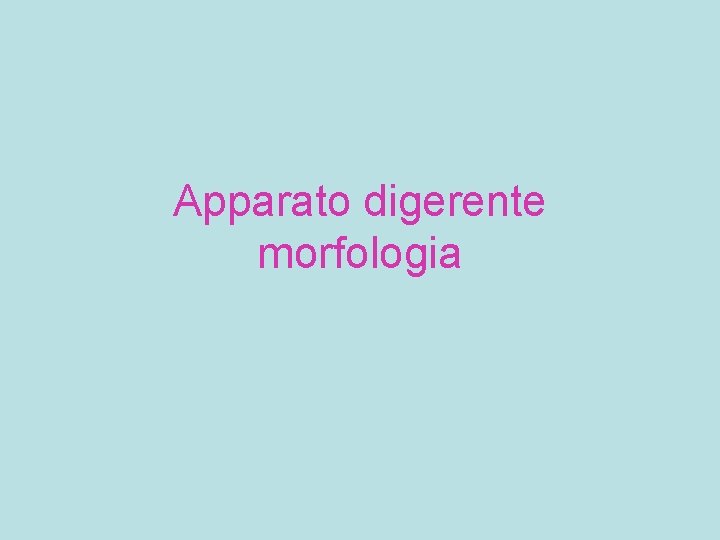 Apparato digerente morfologia 