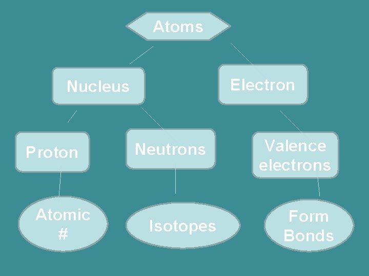 Atoms Electron Nucleus Proton Atomic # Neutrons Isotopes Valence electrons Form Bonds 