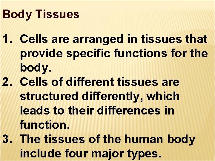 Body Tissues 1. Cells are arranged in tissues that provide specific functions for the