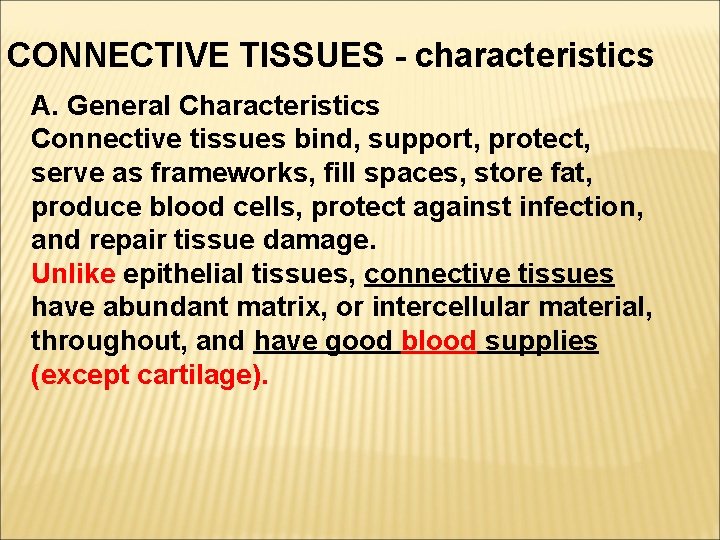 CONNECTIVE TISSUES - characteristics A. General Characteristics Connective tissues bind, support, protect, serve as