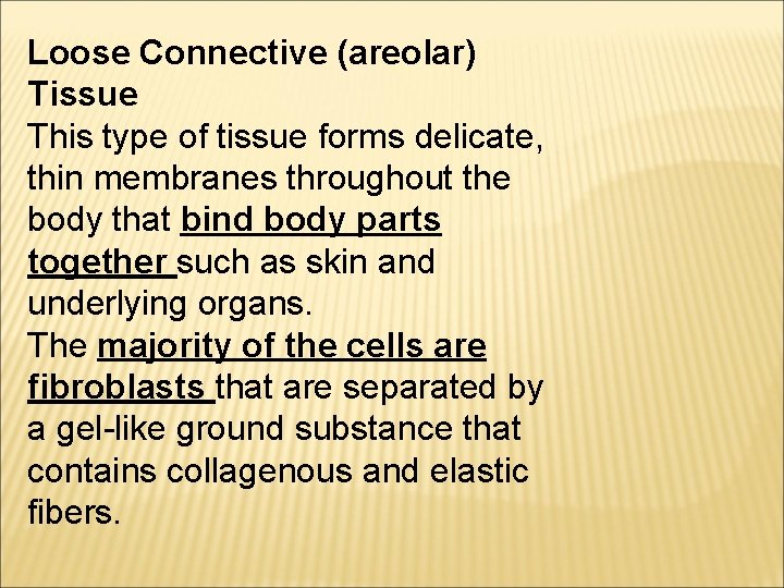 Loose Connective (areolar) Tissue This type of tissue forms delicate, thin membranes throughout the