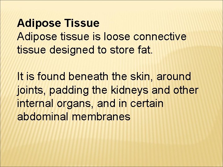 Adipose Tissue Adipose tissue is loose connective tissue designed to store fat. It is