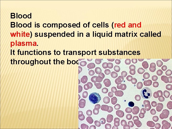 Blood is composed of cells (red and white) suspended in a liquid matrix called