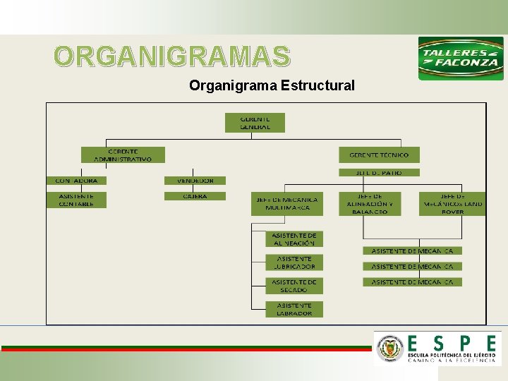 ORGANIGRAMAS Organigrama Estructural 