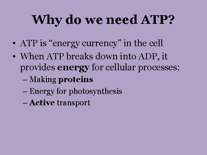 Why do we need ATP? • ATP is “energy currency” in the cell •