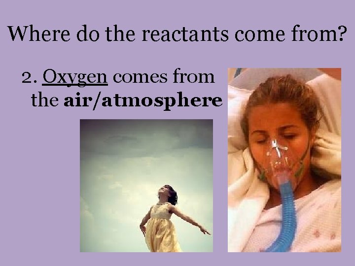 Where do the reactants come from? 2. Oxygen comes from the air/atmosphere 