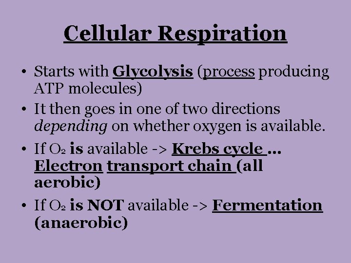 Cellular Respiration • Starts with Glycolysis (process producing ATP molecules) • It then goes