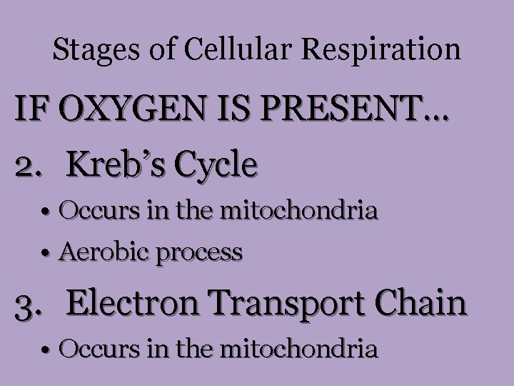 Stages of Cellular Respiration IF OXYGEN IS PRESENT… 2. Kreb’s Cycle • Occurs in