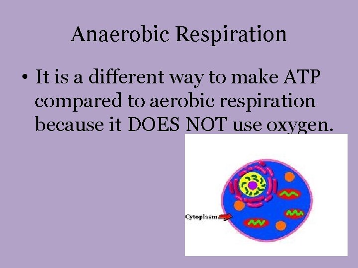 Anaerobic Respiration • It is a different way to make ATP compared to aerobic