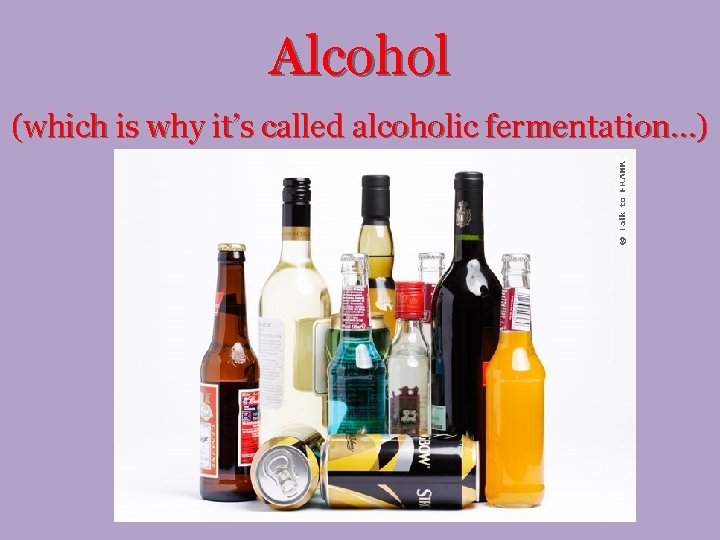 Alcohol (which is why it’s called alcoholic fermentation…) 