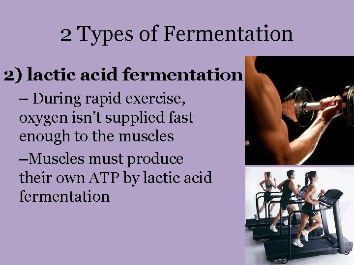 2 Types of Fermentation 2) lactic acid fermentation – During rapid exercise, oxygen isn’t