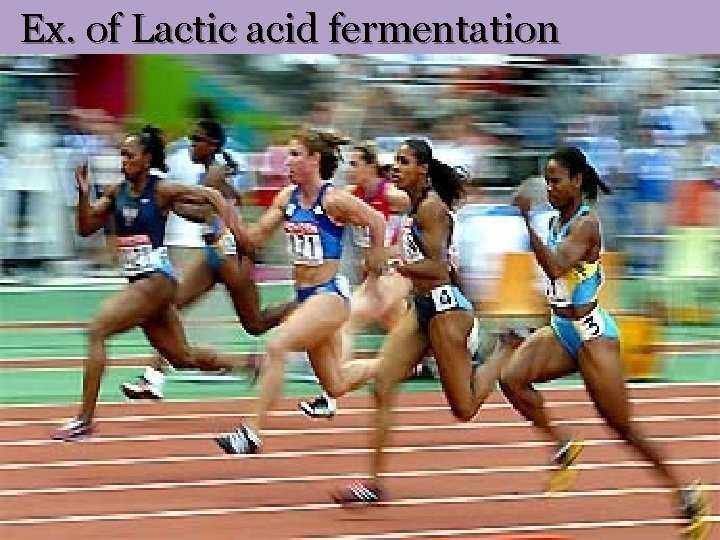 Ex. of Lactic acid fermentation 