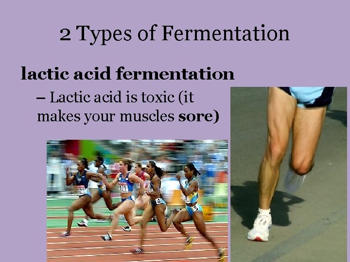 2 Types of Fermentation lactic acid fermentation – Lactic acid is toxic (it makes