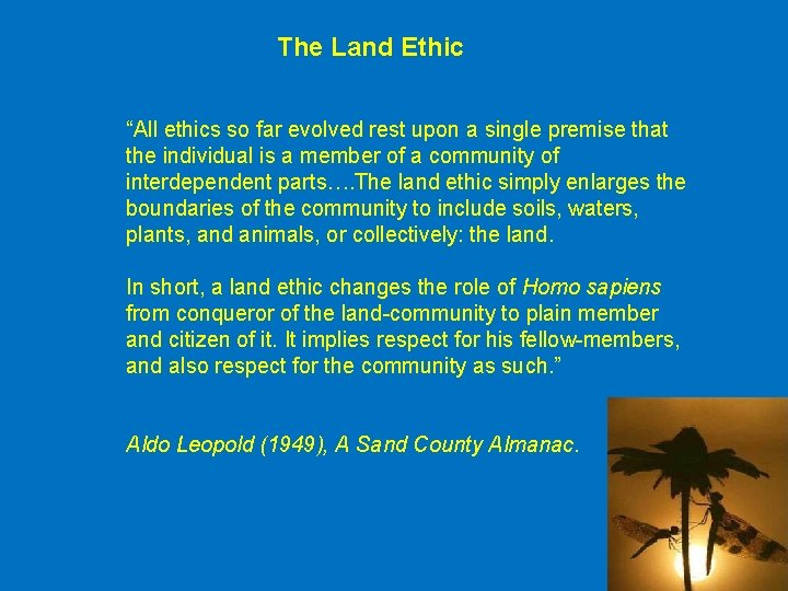 The Land Ethic “All ethics so far evolved rest upon a single premise that The Land Ethic “All ethics so far evolved rest upon a single premise that