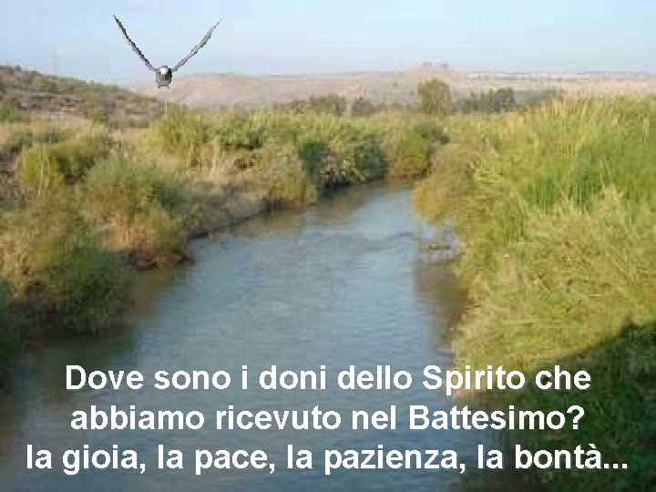 Dove sono i doni dello Spirito che abbiamo ricevuto nel Battesimo? la gioia, la