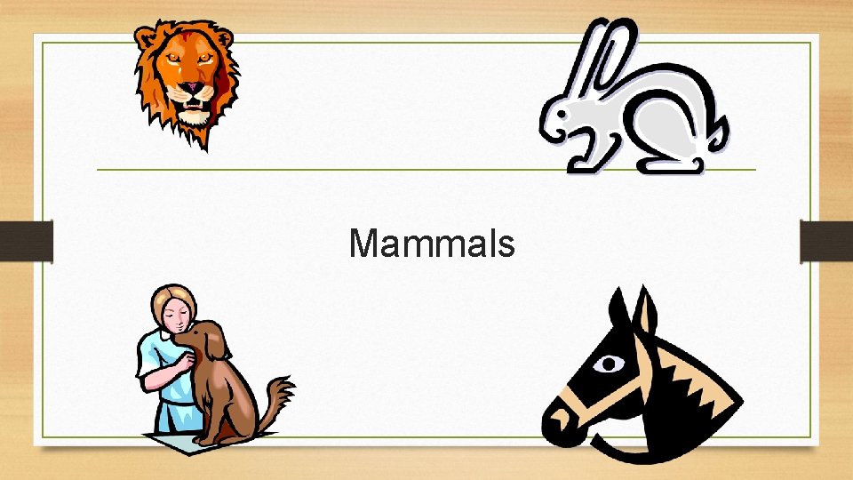 Mammals 