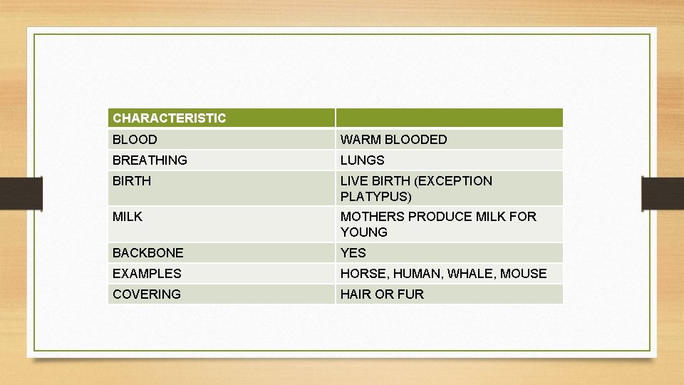 CHARACTERISTIC BLOOD WARM BLOODED BREATHING LUNGS BIRTH LIVE BIRTH (EXCEPTION PLATYPUS) MILK MOTHERS PRODUCE
