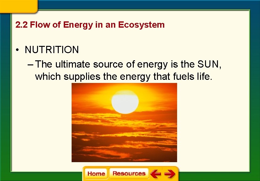 2. 2 Flow of Energy in an Ecosystem • NUTRITION – The ultimate source