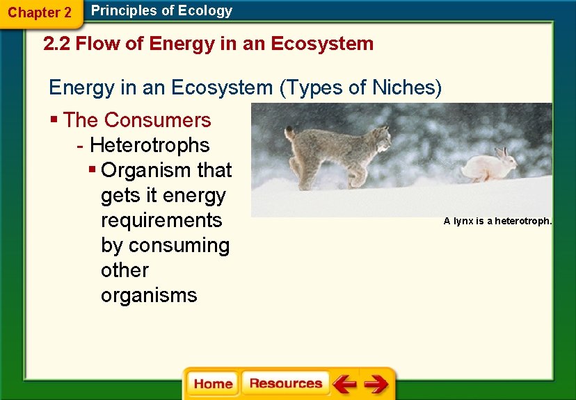 Chapter 2 Principles of Ecology 2. 2 Flow of Energy in an Ecosystem (Types
