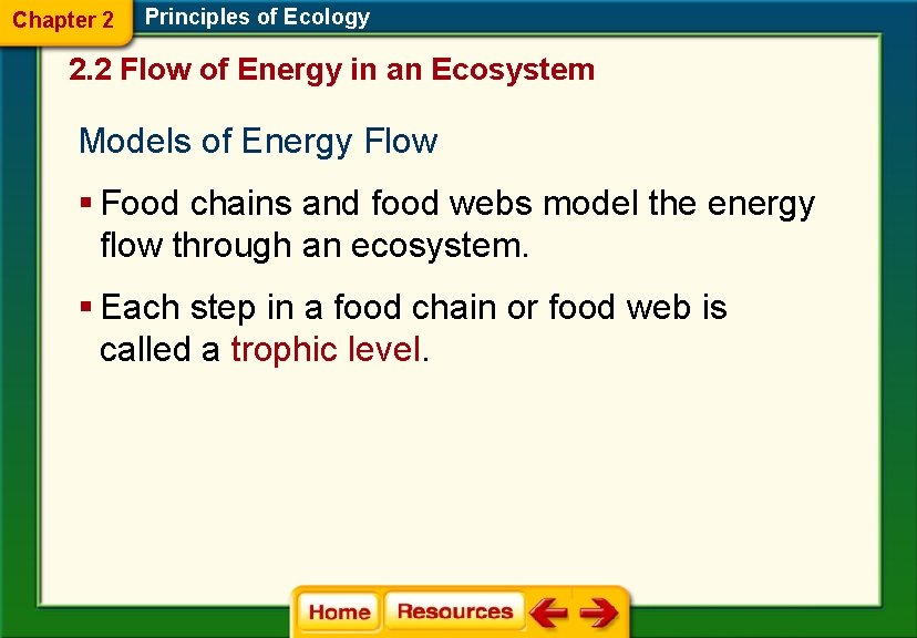 Chapter 2 Principles of Ecology 2. 2 Flow of Energy in an Ecosystem Models
