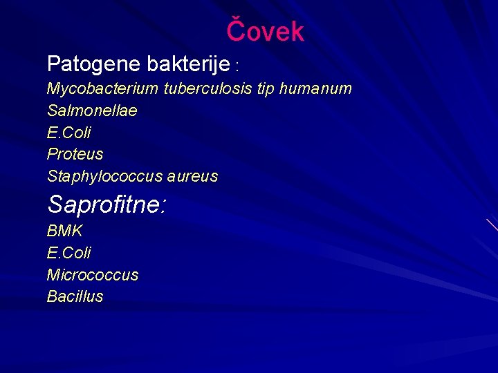 Čovek Patogene bakterije : Mycobacterium tuberculosis tip humanum Salmonellae E. Coli Proteus Staphylococcus aureus