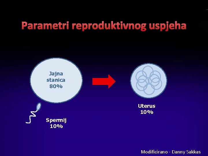 Parametri reproduktivnog uspjeha Jajna stanica 80% Uterus 10% Spermij 10% Modificirano - Danny Sakkas
