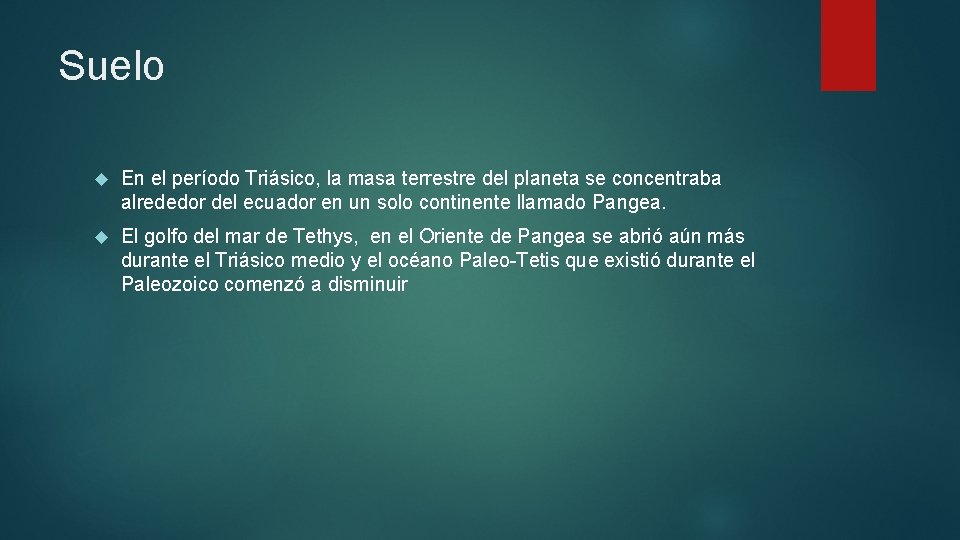 Suelo En el período Triásico, la masa terrestre del planeta se concentraba alrededor del