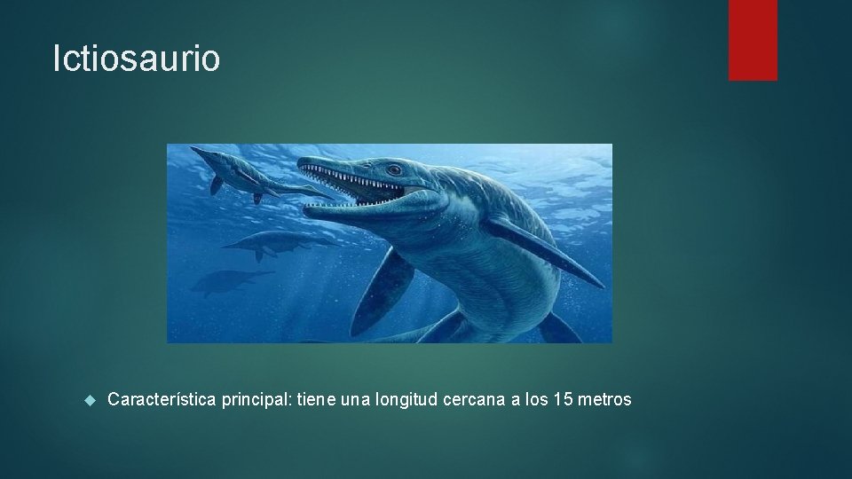 Ictiosaurio Característica principal: tiene una longitud cercana a los 15 metros 
