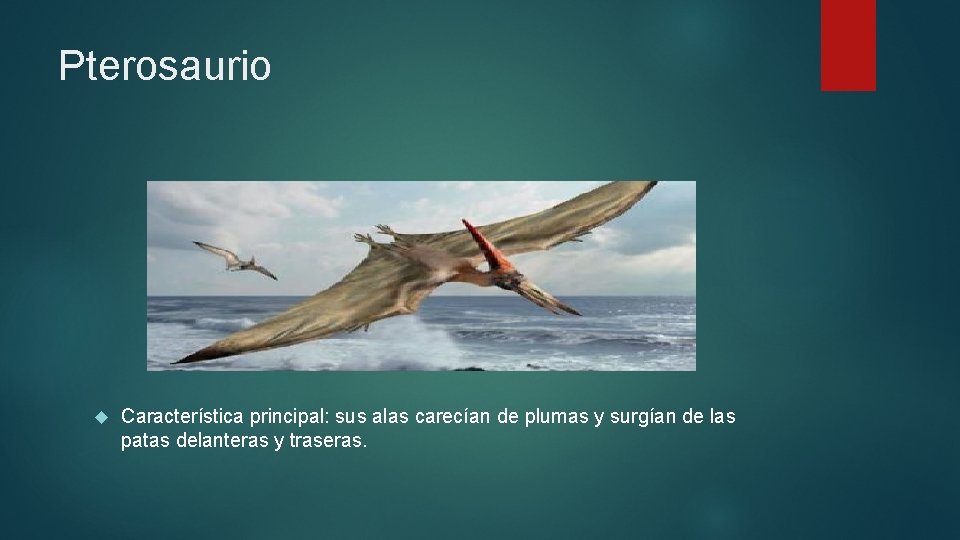 Pterosaurio Característica principal: sus alas carecían de plumas y surgían de las patas delanteras