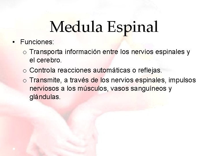 Medula Espinal • Funciones: o Transporta información entre los nervios espinales y el cerebro.
