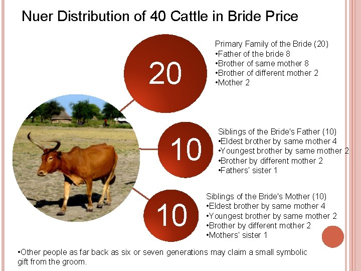 Nuer Distribution of 40 Cattle in Bride Price 20 Primary Family of the Bride