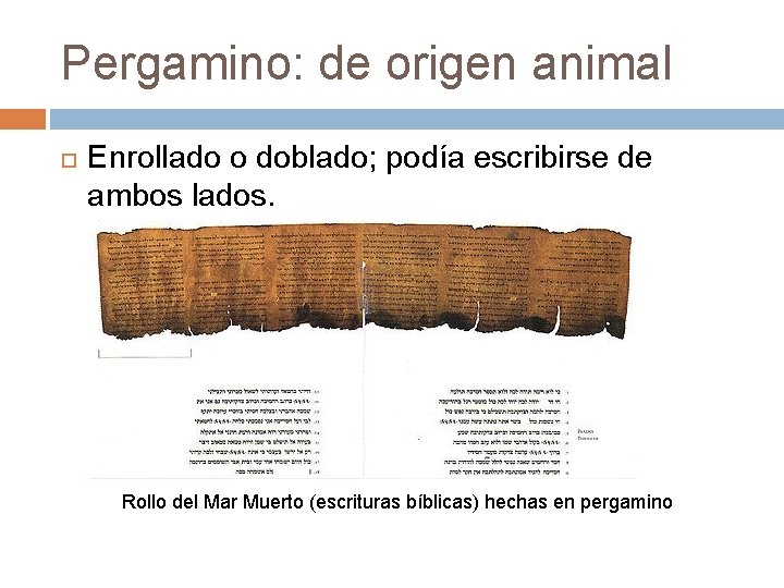 Pergamino: de origen animal Enrollado o doblado; podía escribirse de ambos lados. Rollo del