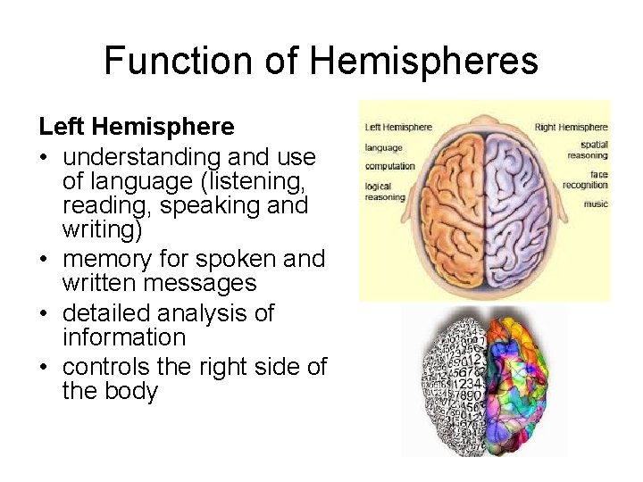 Function of Hemispheres Left Hemisphere • understanding and use of language (listening, reading, speaking