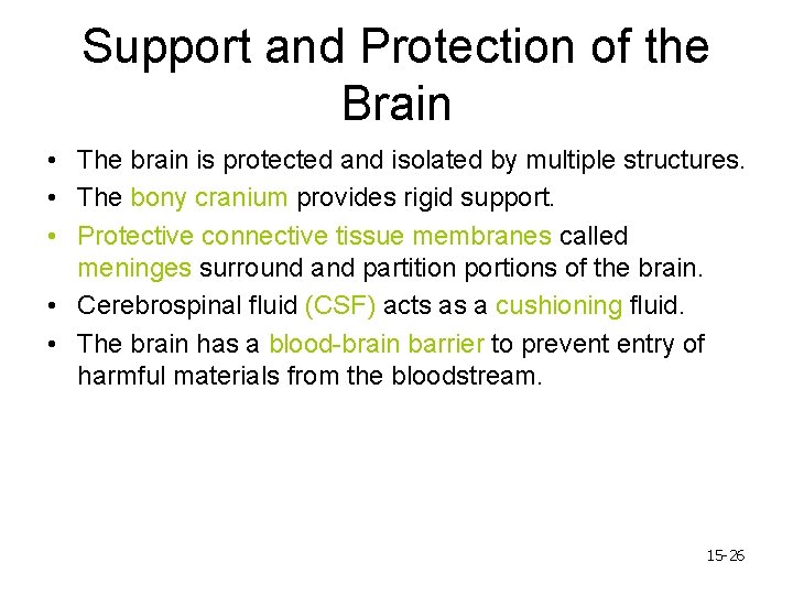 Support and Protection of the Brain • The brain is protected and isolated by