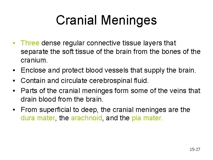 Cranial Meninges • Three dense regular connective tissue layers that separate the soft tissue