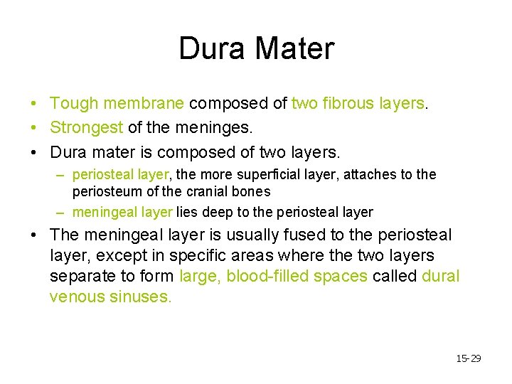 Dura Mater • Tough membrane composed of two fibrous layers. • Strongest of the