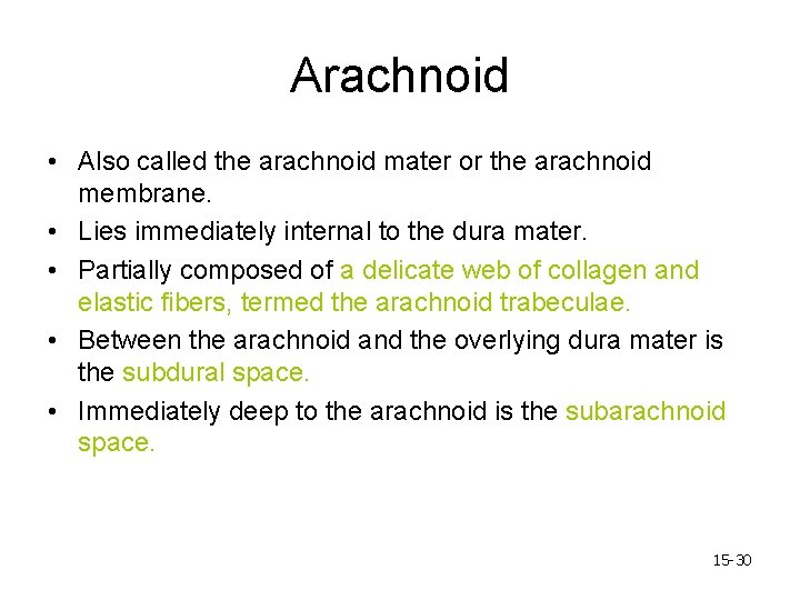 Arachnoid • Also called the arachnoid mater or the arachnoid membrane. • Lies immediately