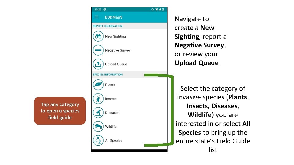Navigate to create a New Sighting, report a Negative Survey, or review your Upload