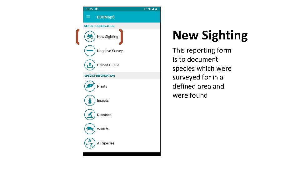 New Sighting This reporting form is to document species which were surveyed for in