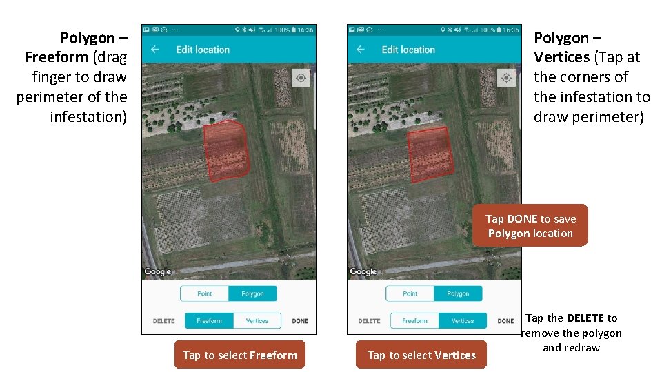 Polygon – Freeform (drag finger to draw perimeter of the infestation) Polygon – Vertices
