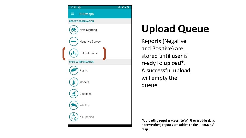 Upload Queue Reports (Negative and Positive) are stored until user is ready to upload*.