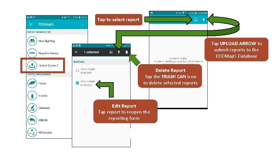 Tap to select report Tap UPLOAD ARROW to submit reports to the EDDMap. S