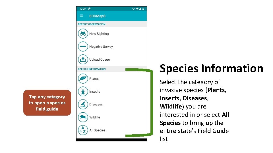 Species Information Tap any category to open a species field guide Select the category