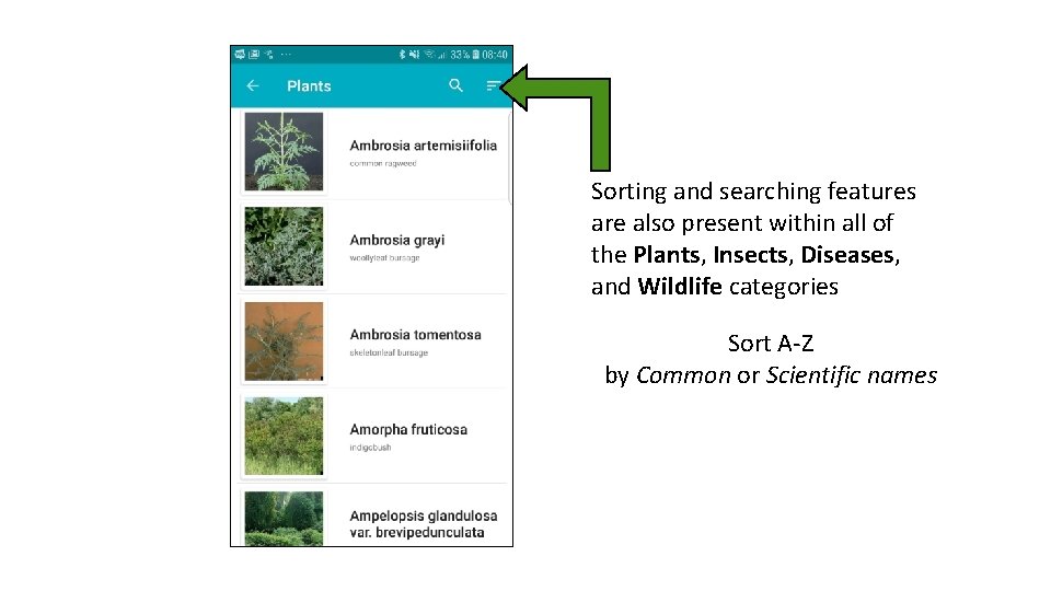 Sorting and searching features are also present within all of the Plants, Insects, Diseases,