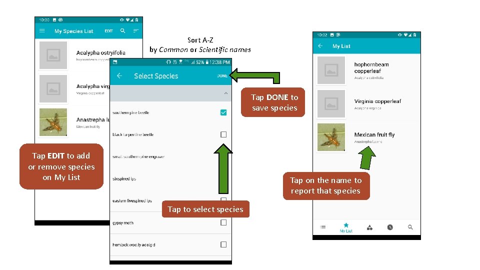 Sort A-Z by Common or Scientific names Tap DONE to save species Tap EDIT