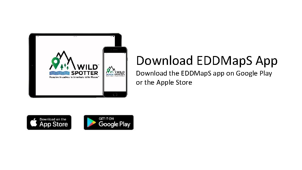 Download EDDMap. S App Download the EDDMap. S app on Google Play or the