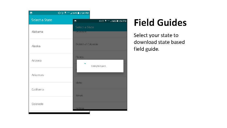 Field Guides Select your state to download state based field guide. 