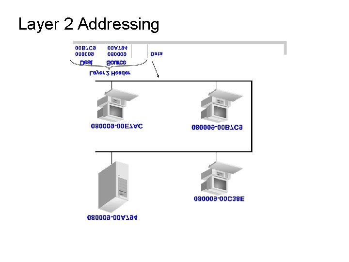 Layer 2 Addressing 