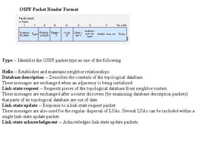 OSPF Packet Header Format Type -- Identifies the OSPF packet type as one of