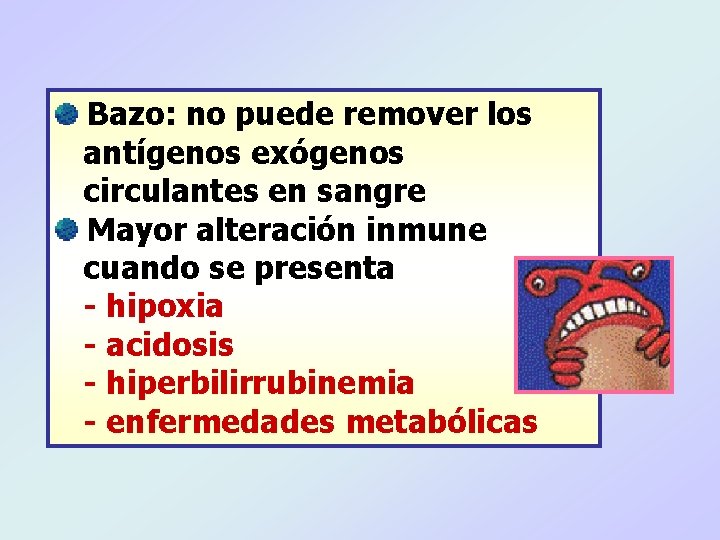 Bazo: no puede remover los antígenos exógenos circulantes en sangre Mayor alteración inmune cuando